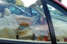 Steinsdays 2010 - Bilder by Projekt-Renault