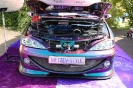 Steinsdays 2010 - Bilder by Projekt-Renault