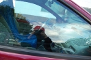 Steinsdays 2010 - Bilder by Projekt-Renault