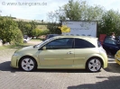 Steinsdorf 2004